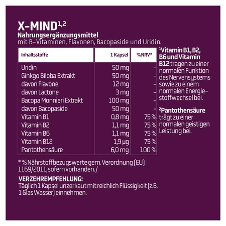 SPLMNT LAB X-MIND 30 St