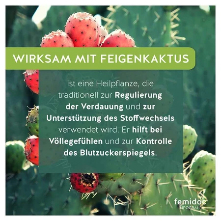 Femidoc Lipogran Tablets 60 St