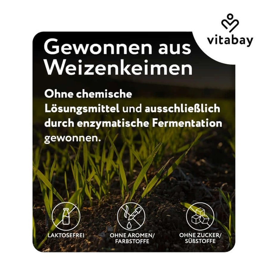 Vitabay Espermidina 6 mg 120 St