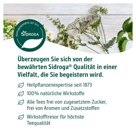 Sidroga paardenbloem thee filterzakje 20X1,5 g