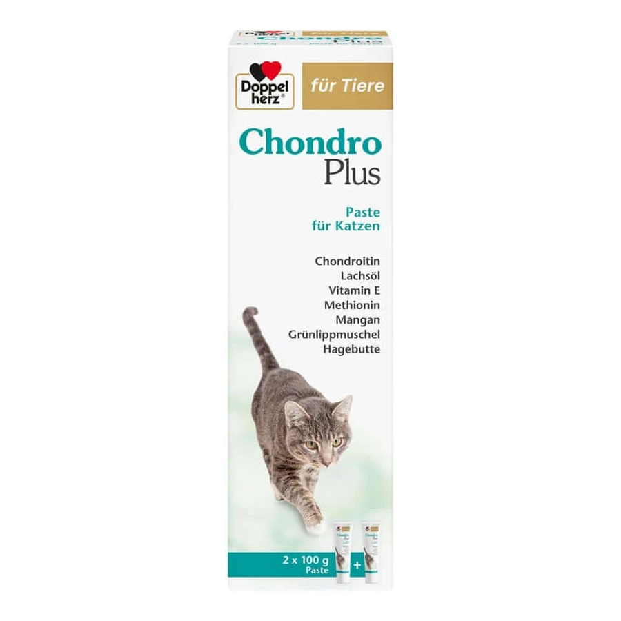 Double Heart For Animals Chondro Plus Paste For Cats 2X100 g
