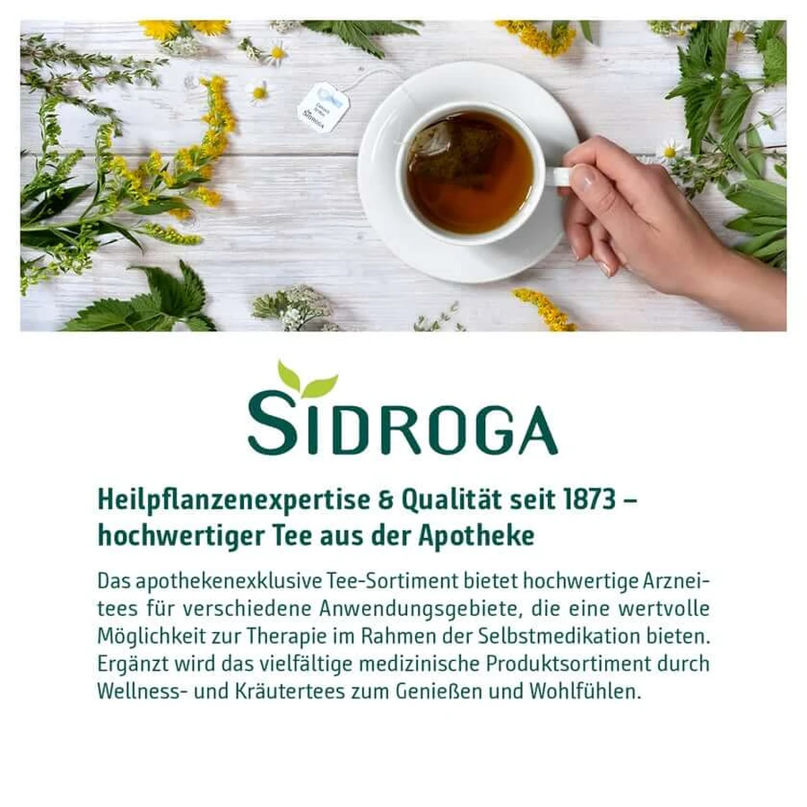 Sidroga Fenchel Tee Filterbeutel 20X2,0 g