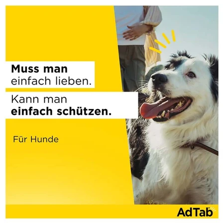 AdTab hond 1,3 - 2,5 kg kauwtabletten 3 st.