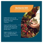 Berberin 500 Myo-inositol & Piperin Vegan Kapseln 60 St