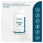 Berberin 500 Myo-inositol & Piperin Vegan Kapseln 60 St