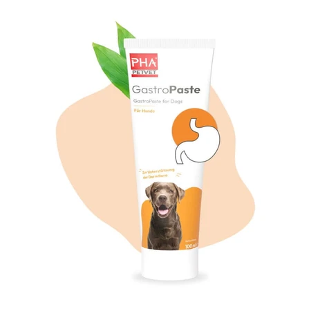 Pha Gastropaste pentru câini 100 ml