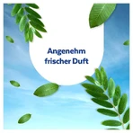 Sagrotan Hygiene-reinigungstücher 60 St