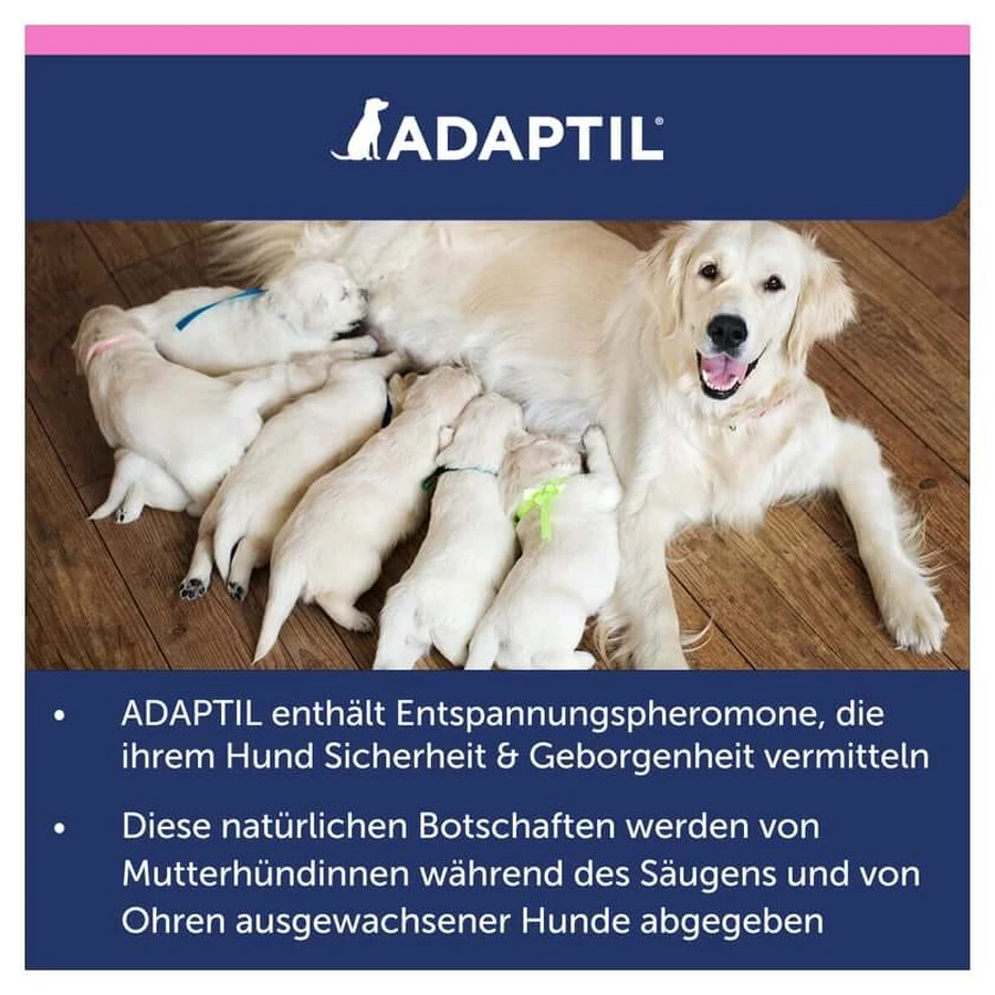 ADAPTIL Junior Halsband 1 St
