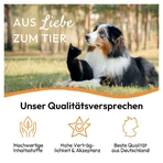 PHA WURM für Hunde und Katzen 50 ml
