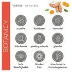 Curcuma+Boswellia Forte, gélules, 60 gélules
