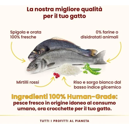 Almo Nature HFC Sterilized Cat Sea Bass and Sea Bream - Complete Dry Food for Adult Cats, 300 g