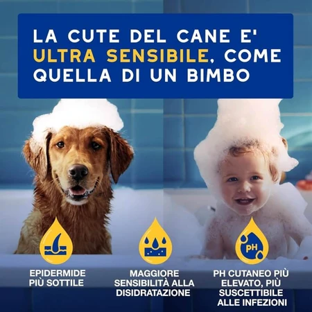 Ceva Animal Health Douxo, S.p.A. - Moisturizing and Nourishing Shampoo for Dogs, 250 ml