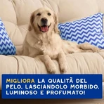 Ceva Animal Health Douxo, S.p.A. - Moisturizing and Nourishing Shampoo for Dogs, 250 ml