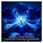 Guerlain Orchidée Impériale La Crème de Longévité - Regenerating Anti-Aging Face Cream - 50 ml Refill