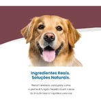 Farmina Vet Life Hepatic Chicken – Alleinfuttermittel für Hunde mit Leberinsuffizienz, 300 g