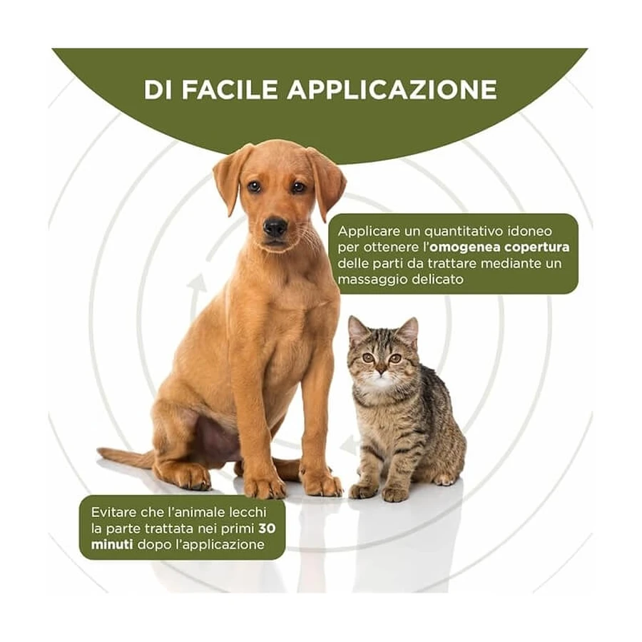 Msd animal health Rigenera - crema dermatologica rigenerante cutanea cane gatto 10 g