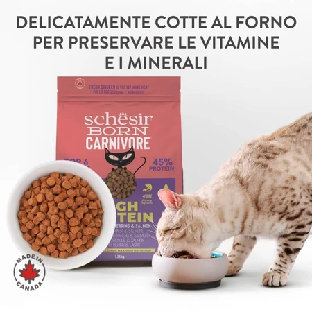 Schesir Born Carnivore Kip met Haring en Zalm - Compleet voer voor volwassen katten, 255 g