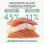 Schesir Born Carnivore Kip met Haring en Zalm - Compleet voer voor volwassen katten, 255 g