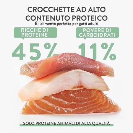Schesir Born Carnivore Kip met Haring en Zalm - Compleet voer voor volwassen katten, 255 g