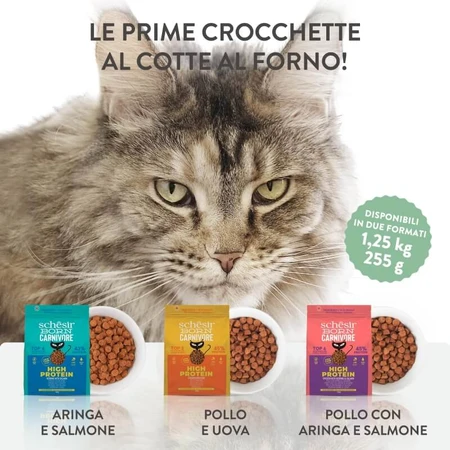 Schesir Born Carnivore Kip met Haring en Zalm - Compleet voer voor volwassen katten, 255 g