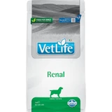 Farmina Vet Life Canine Renal Formula - Compleet dieetvoeding voor honden met nierfalen, 2 kg
