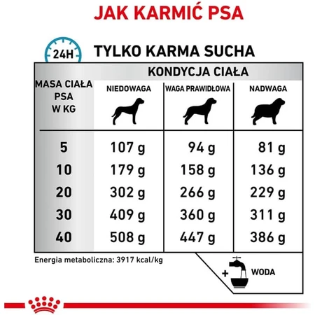 Royal Canin Anallergenic - Complete Food for Dogs with Food Allergies and Intolerances, 8 kg