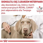 Royal Canin Anallergenic - Complete Food for Dogs with Food Allergies and Intolerances, 8 kg