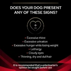Purina ProPlan Veterinary Diets DM – hrană dietetică completă pentru câini adulți cu diabet zaharat, 3 kg