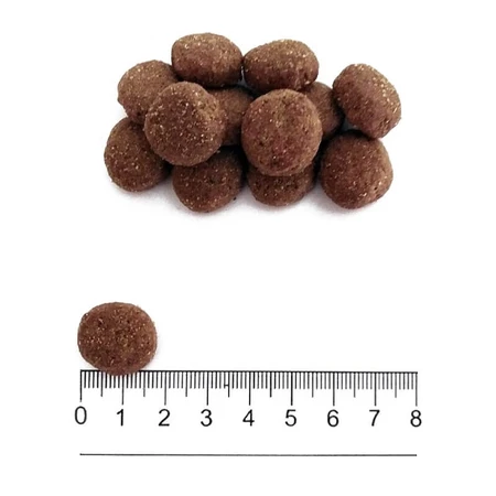 Prolife Sensitive Adult Lamb & Rice - Complete Food for Sensitive Adult Dogs of Medium and Large Breeds, 2.5 kg
