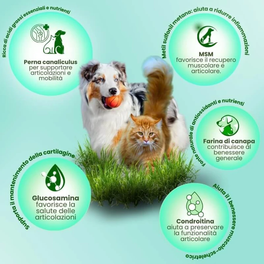 Camon Canahelp - voedingssupplement voor volwassen honden en katten, 225 tabletten