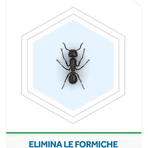 Cebo para hormigas Raid, insecticida, paquete de 1 unidad