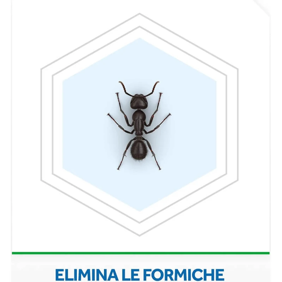Cebo para hormigas Raid, insecticida, paquete de 1 unidad