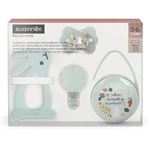 Suavinex Wonder-cadeauset: 2 fopspenen (0–6 maanden), clip en groene bijtring