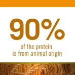 Farmina N&amp;d Ancestral Grain Kip en Granaatappel - Compleet voer voor volwassen honden van middelgrote en grote rassen, 2,5 kg