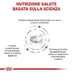 Royal canin Hypoallergenic puppy - alimento completo per cuccioli con intolleranze alimentari 1,5 kg