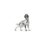 Royal Canin Pill Assist - Aliment destiné aux chiens de taille moyenne et grande pour faciliter l'administration de comprimés, 224 g