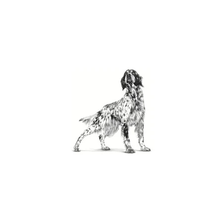 Royal Canin Pill Assist - Aliment destiné aux chiens de taille moyenne et grande pour faciliter l'administration de comprimés, 224 g