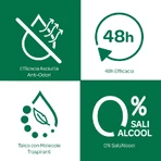 Borotalco puro con aroma a brisa almizclada - Desodorante en spray de 48 horas, 150 ml