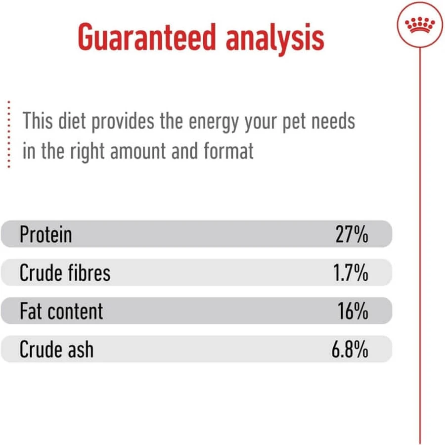 Royal Canin Mini Adult - Aliment complet pour chiens adultes de petite race, 800 g