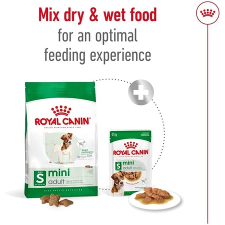 Royal Canin Mini Adult - Aliment complet pour chiens adultes de petite race, 800 g
