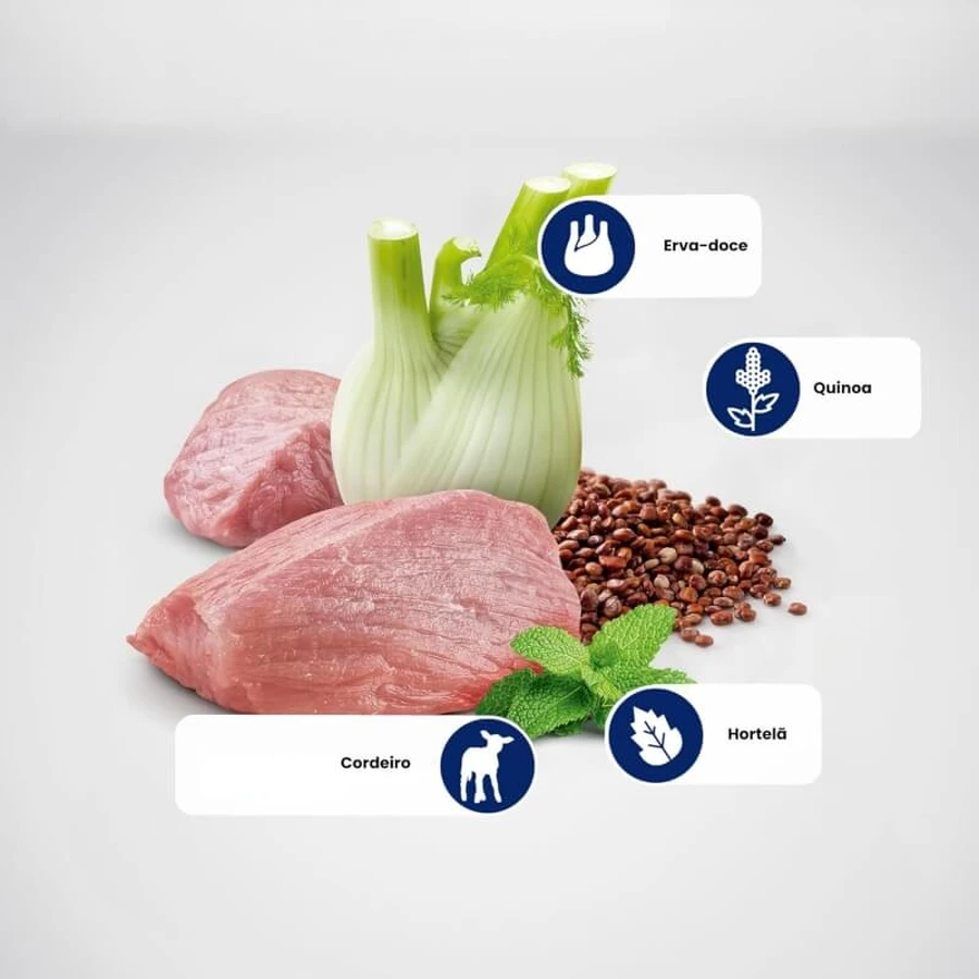 Farmina N&amp;d Quinoa Digestion Lamb – Diätfutter für erwachsene Katzen mit Verdauungsproblemen, 80 g