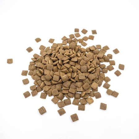 Nature's Protection Superior Care Saumon - Croquettes complètes hypoallergéniques pour chiens adultes, 1,5 kg