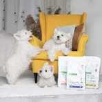 Nature's Protection Superior Care Saumon - Croquettes complètes hypoallergéniques pour chiens adultes, 1,5 kg