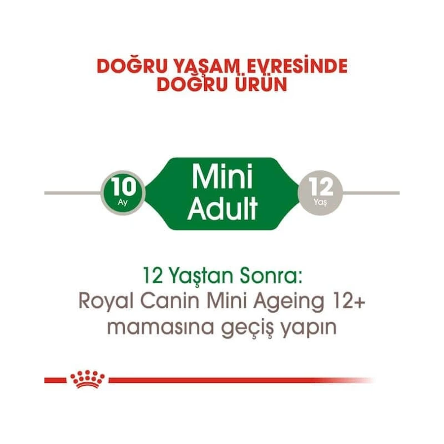Royal Canin Mini Adult - Aliment complet pour chiens adultes de petite race, 85 g