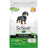 Schesir Small Maintenance Small Adult All-Lamb - Alimento completo para perros adultos de razas pequeñas, 2 kg