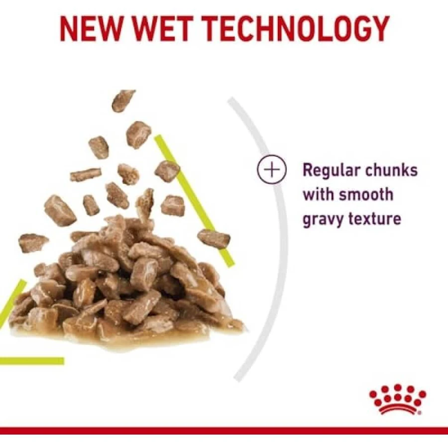 Royal Canin Sensory Smell Bites in Sauce - Complete Food for Adult Cats, 85 g