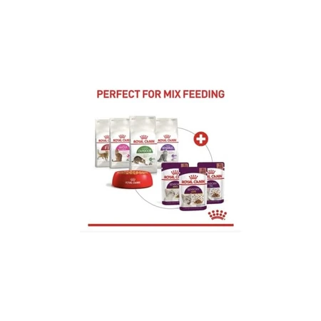Royal Canin Sensory Smell Bites in Sauce - Complete Food for Adult Cats, 85 g