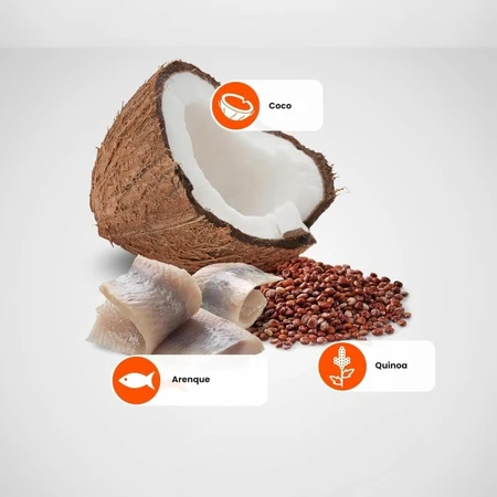 Farmina N&amp;d Quinoa Skin &amp; Coat Hering und Kokosnuss – Alleinfuttermittel für erwachsene Katzen mit Nahrungsmittelunverträglichkeiten, 80 g