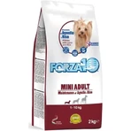 Forza10 Mini Adult Maintenance mit Lamm und Reis – Alleinfuttermittel für kleine Hunde, 2 kg