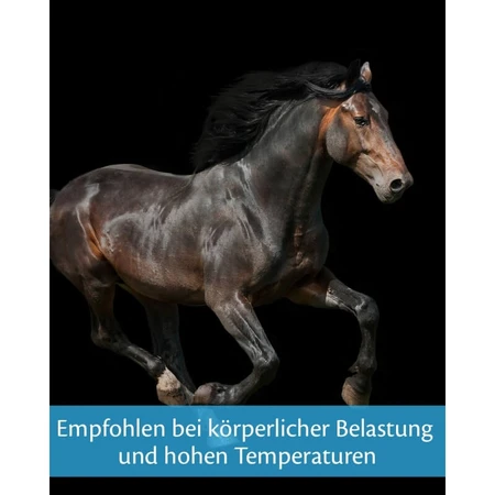 Equality Equistro Energy Booster Paste – suplement energetyczny dla koni i kuców, 20 g: ceny i cechy